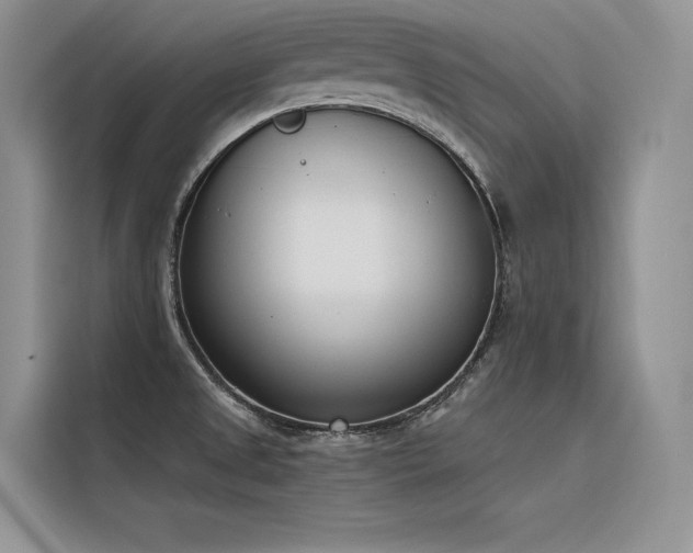 X0000116381525200912021509