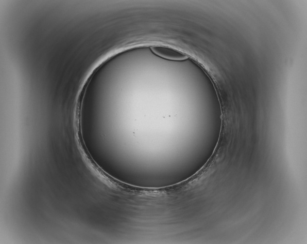 X0000116381526200912021509