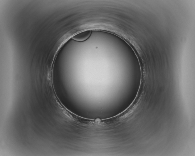 X0000116381529200912021509