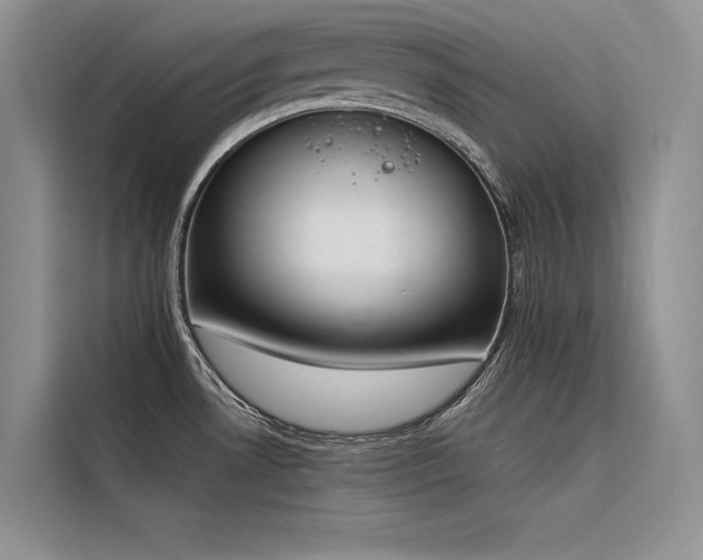 X0000116381530200912021509