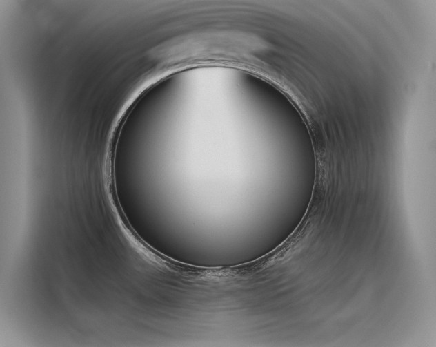 X0000116381531200912021509