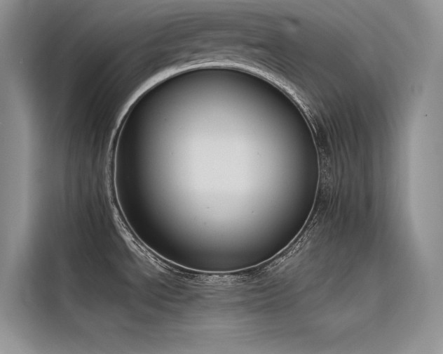 X0000116381534200912021509