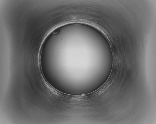 X0000116381535200912021509