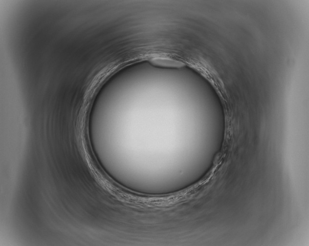 X0000116380001200912091424