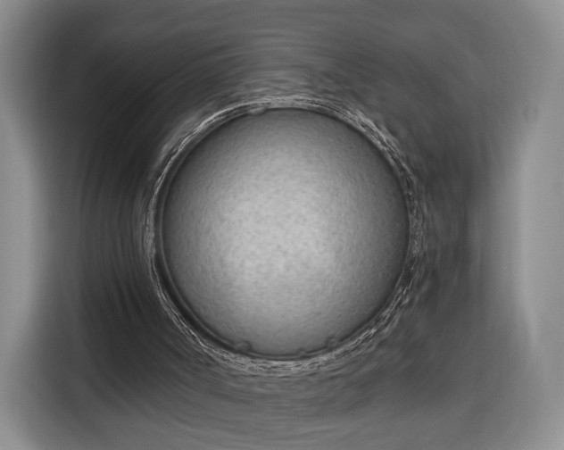 X0000116380002200912091424