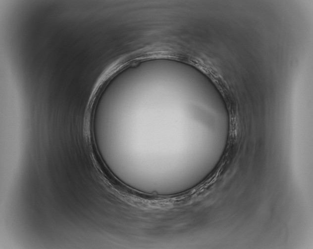 X0000116380004200912091424