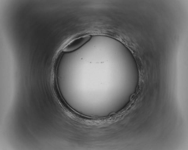 X0000116380005200912091424