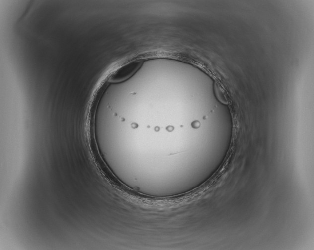 X0000116380006200912091424