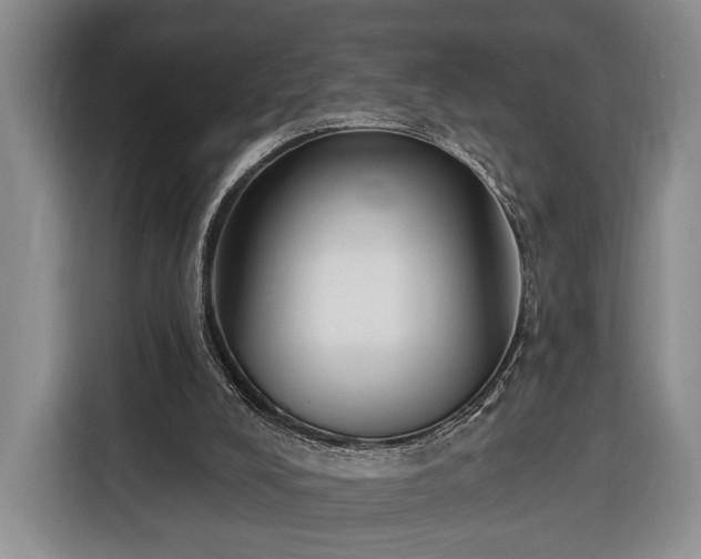 X0000116380008200912091424