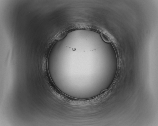 X0000116380009200912091424