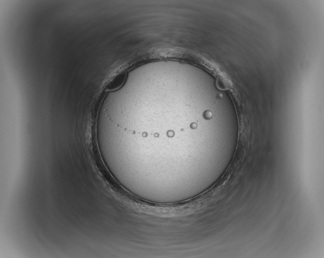 X0000116380010200912091424