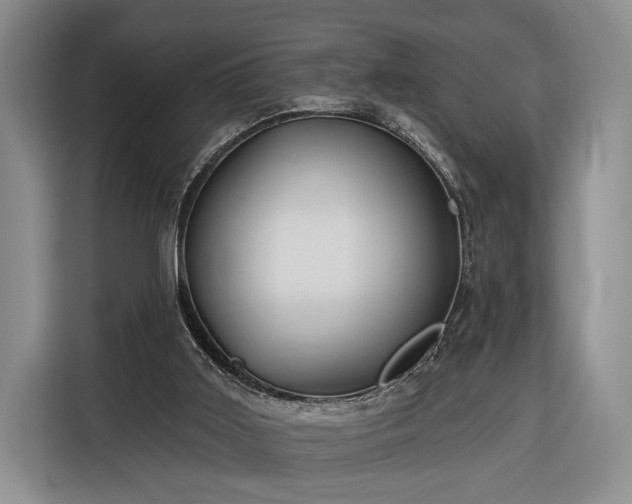 X0000116380011200912091424