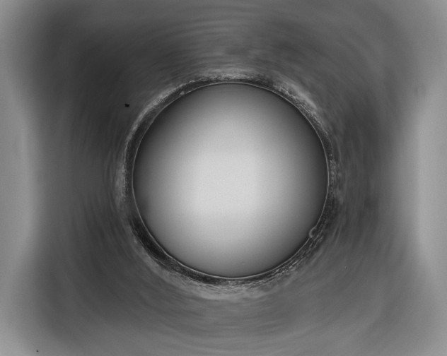 X0000116380012200912091424
