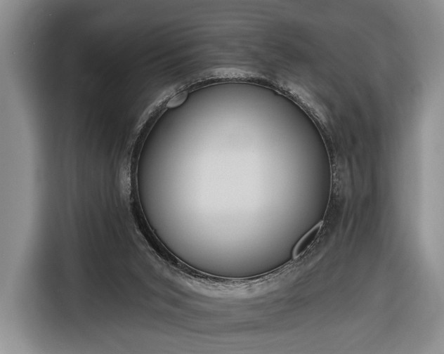 X0000116380015200912091424