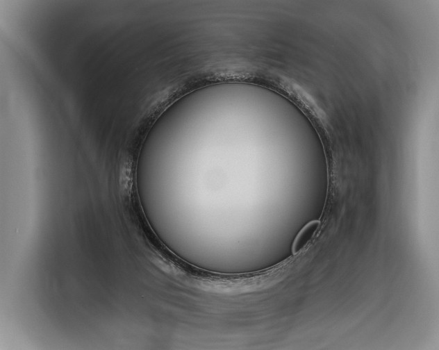 X0000116380017200912091423