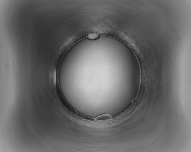 X0000116380019200912091423
