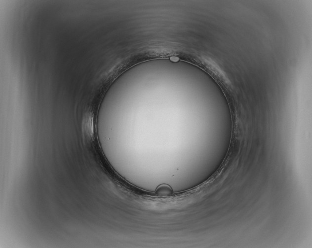 X0000116380021200912091423