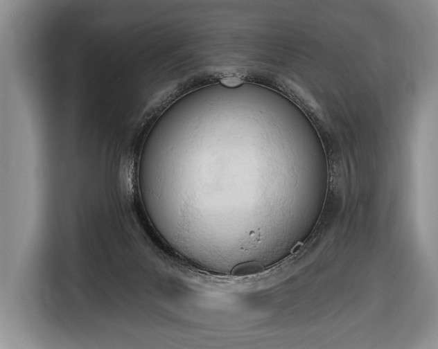 X0000116380023200912091423