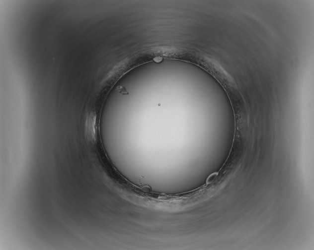 X0000116380024200912091423