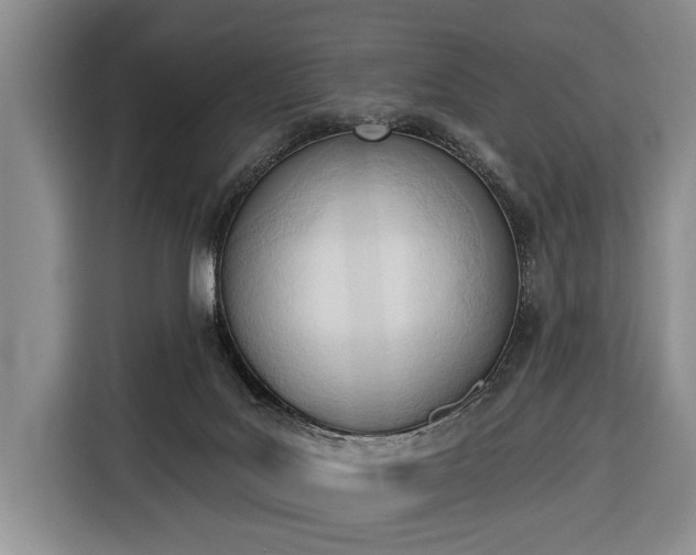 X0000116380027200912091423