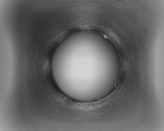 X0000116380029200912091423
