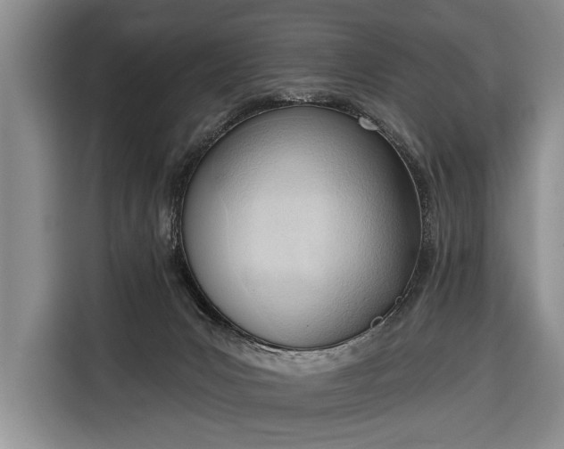 X0000116380031200912091423