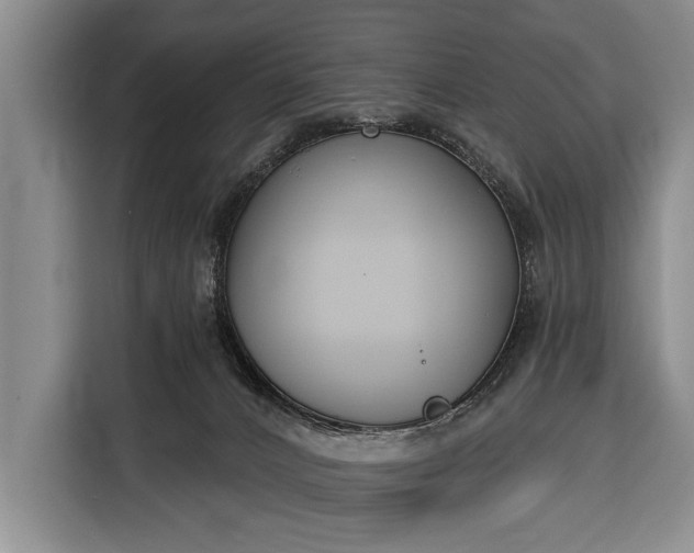 X0000116380032200912091423