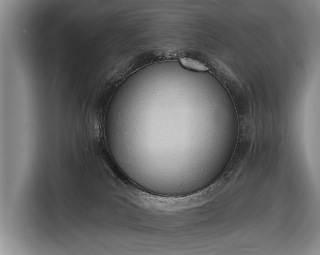 X0000116380039200912091423