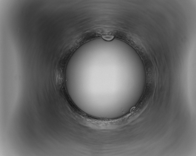 X0000116380040200912091423