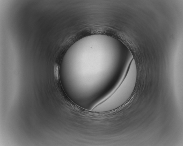 X0000116380041200912091423