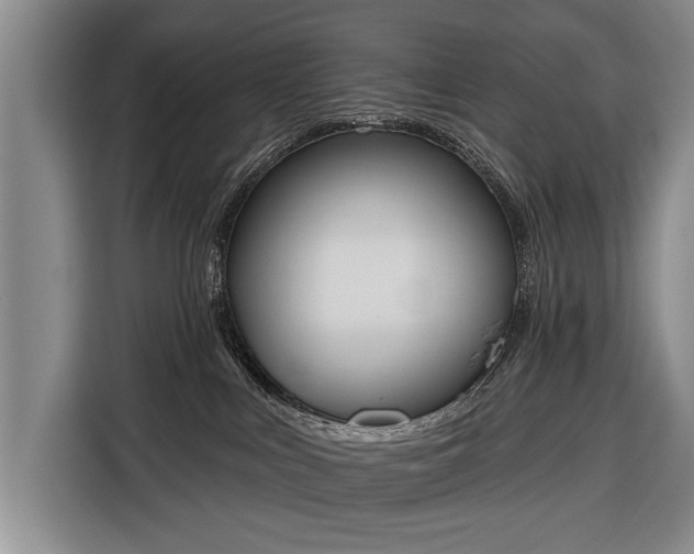 X0000116380043200912091423