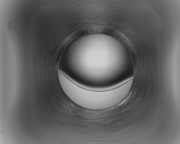 X0000116380045200912091423