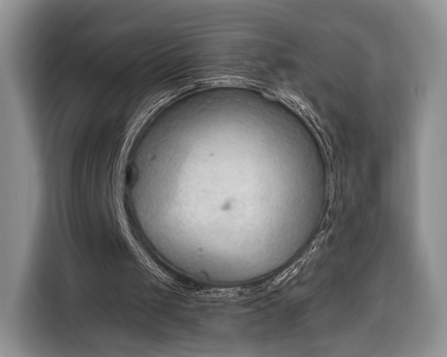 X0000116380049200912091422