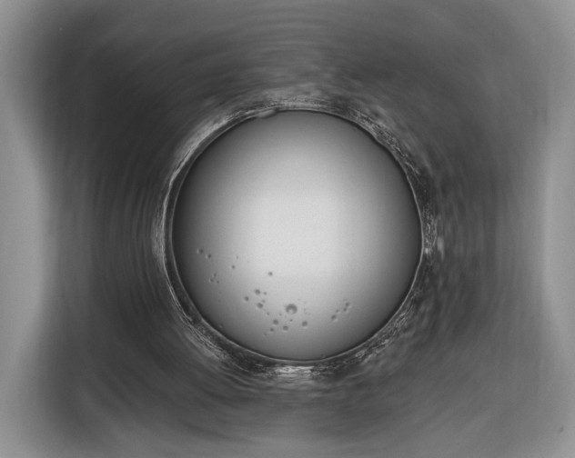 X0000116380052200912091423