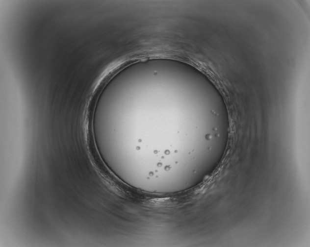 X0000116380054200912091423