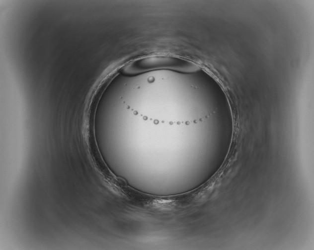X0000116380055200912091423