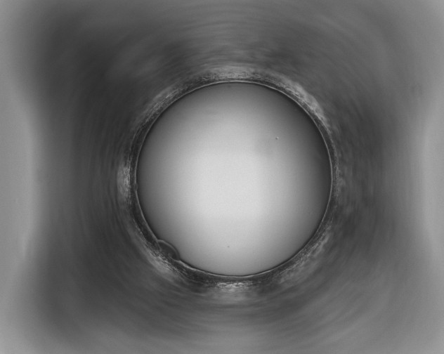 X0000116380057200912091423