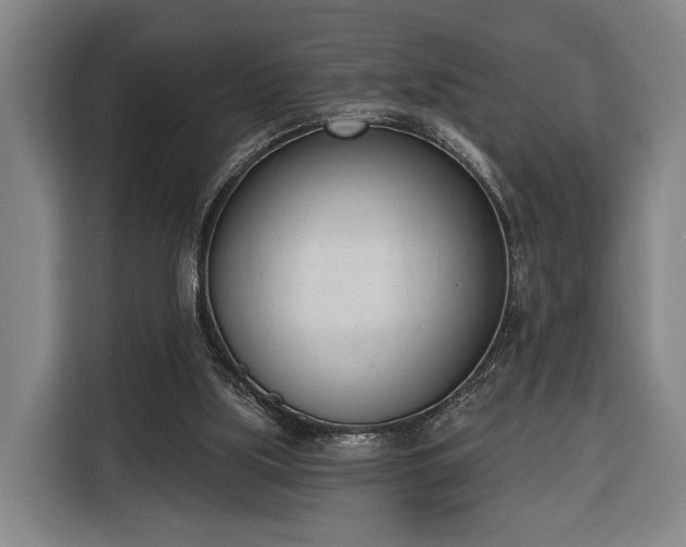 X0000116380059200912091423