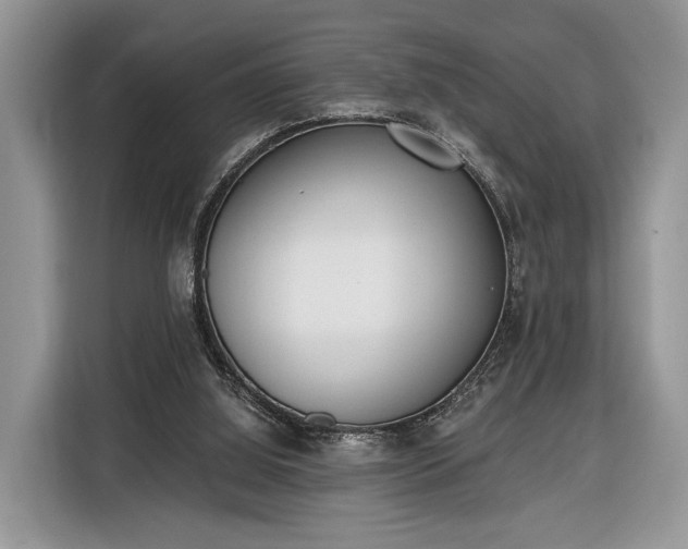 X0000116380060200912091423