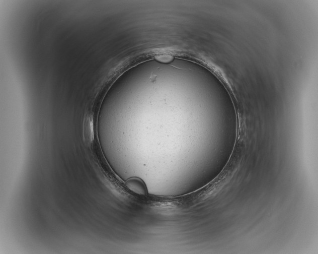 X0000116380061200912091423