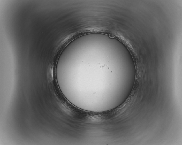 X0000116380062200912091423