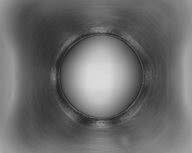 X0000116380064200912091423