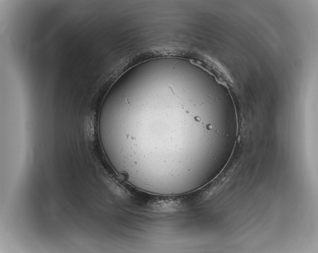 X0000116380065200912091423