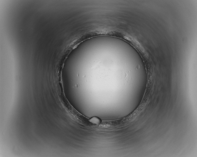 X0000116380066200912091423