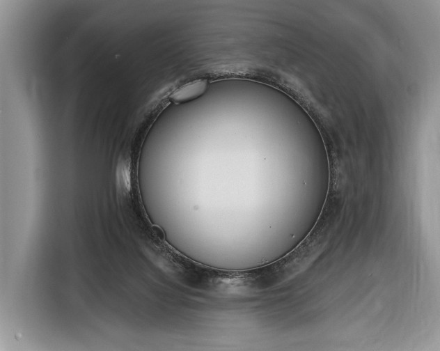 X0000116380068200912091423