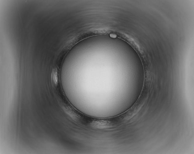 X0000116380069200912091423