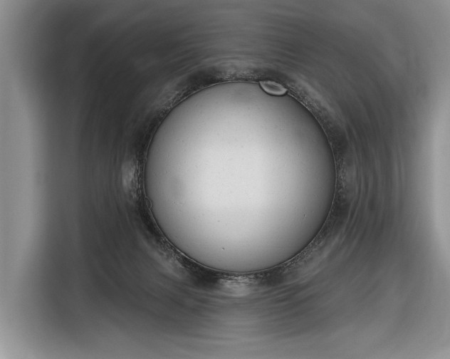 X0000116380079200912091423