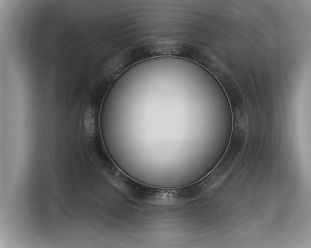 X0000116380080200912091423