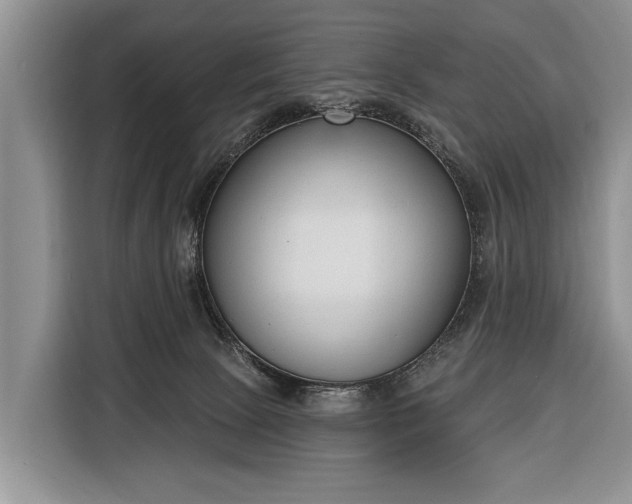 X0000116380081200912091423