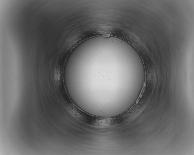 X0000116380084200912091423